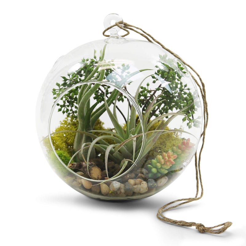 WGVI WGV Hanging Terrarium Globe, Width 8", Height 9", DIY Air Succulent Planter, Clear Glass Vase Orb with Flat Bottom, Candle Holder for Windowsill Outdoor Garden Decor, 1 Piece - Image 4